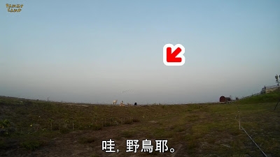 騎著單車露營去_水岸邊的野營_與水鳥共眠_上集