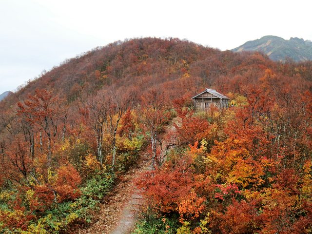 日本新潟--賞楓絕景~八海山纜車! by 香蕉草莓