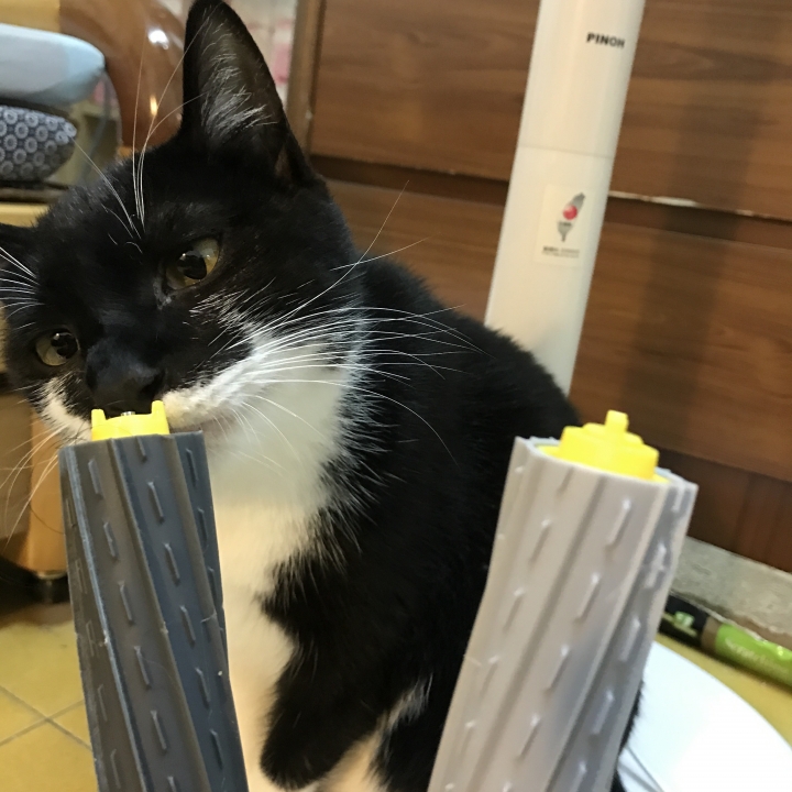 看到iRobot新品就衝了！Roomba895與南瓜的初次見面