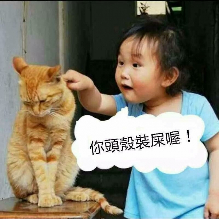 江山代有才人出～等了好多年，中華職棒新四大天王終於誕生？