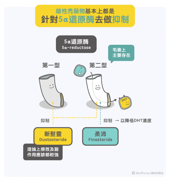 #轉 醫師藥師熱心整理：雄性禿藥物新髮靈與柔沛的完整評比！