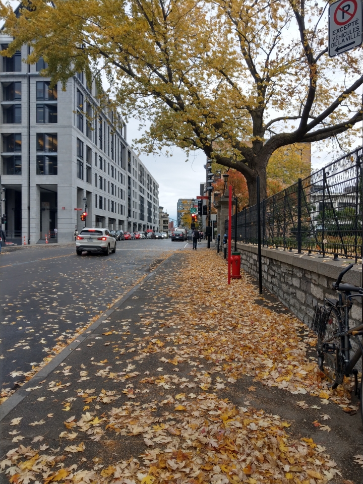 U11 加拿大Montreal 照片集(圖多)