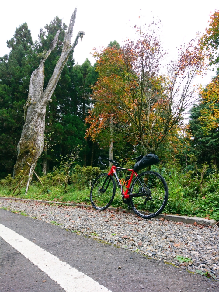 DBS Cyclocross 5000 阿里山避空汙