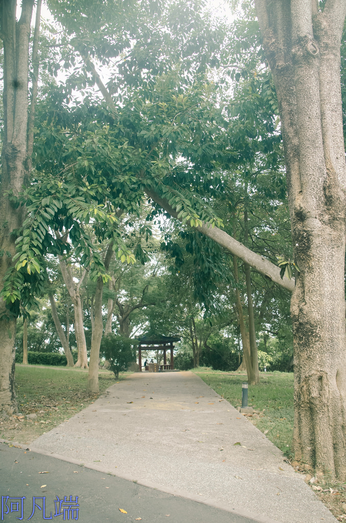 高雄~旗山區鼓山公園風華再現+旗山老街小小兵大進擊