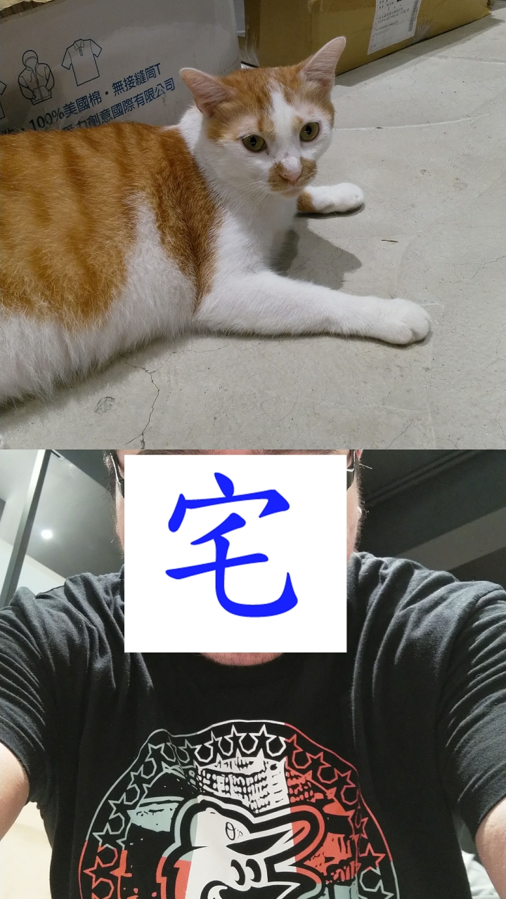 Nokia 8緞面藍入手之滿滿的往日情懷啊啊啊！
