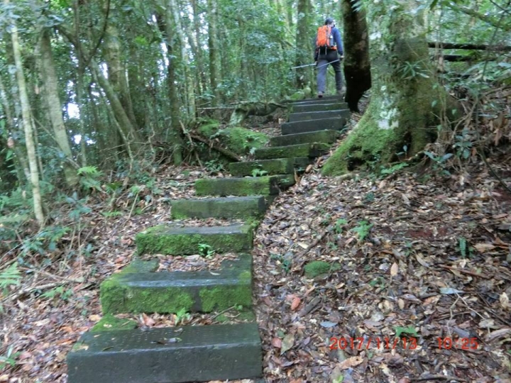 1061113 嘉南雲峰 石壁山(#55)登山健行