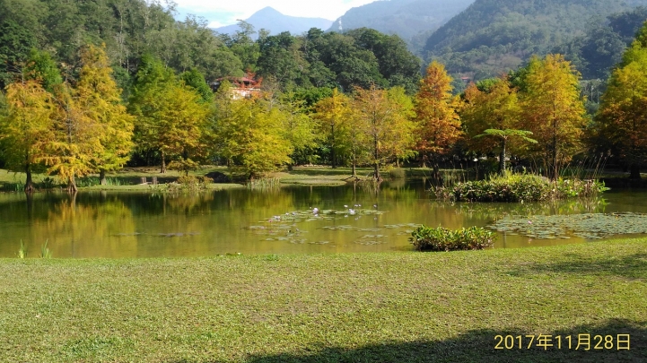 南庄雲水度假森林