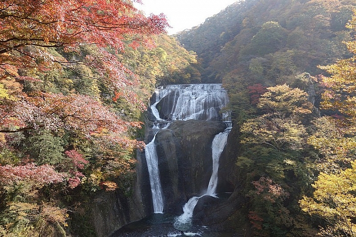 【茨城県】日本三名瀑之一的楓葉美景―袋田瀑布