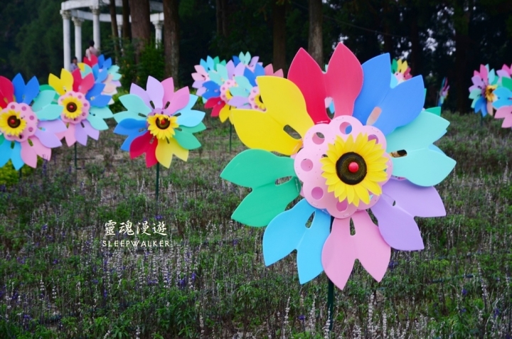 ［南投仁愛。景點］小瑞士花園－清境農場周邊順遊景點｜搭公車遊南投 Day1