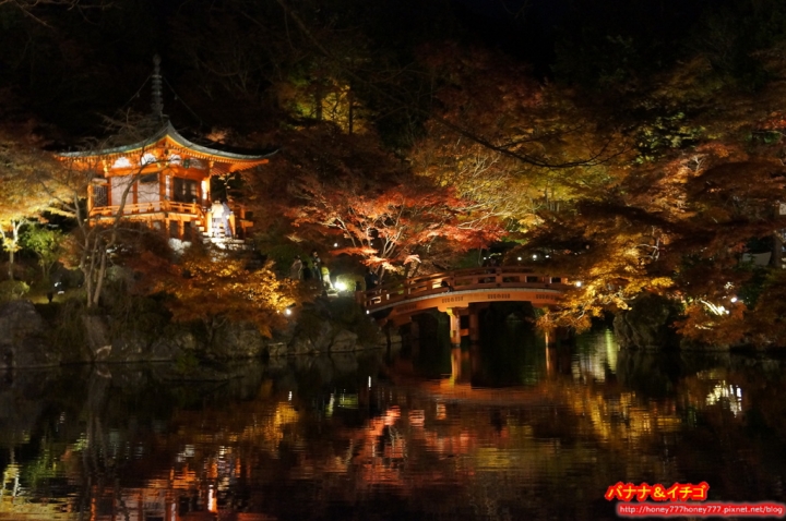「京都の紅葉」--2017 京都賞楓整理