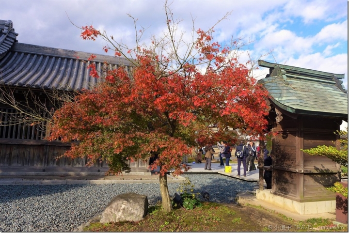 福岡【景點】漫遊太宰府天滿宮紅葉+光明禪寺+Starbucks+太宰府必吃 [福岡自由行景點]