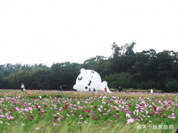 [旅遊] 2017 桃園花彩節萬坪花卉/玩偶公仔/免費小火車及旋轉木馬 (11/4~11/12)