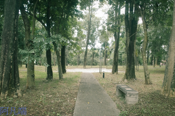 高雄~旗山區鼓山公園風華再現+旗山老街小小兵大進擊
