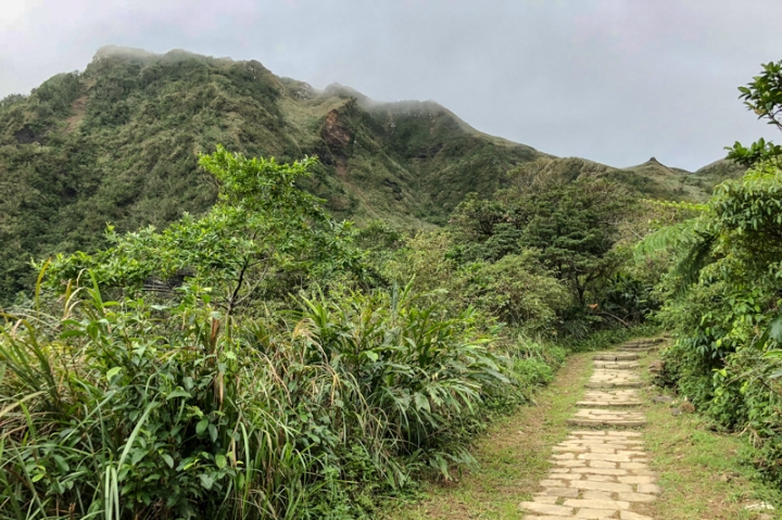 [亂拍照] 草嶺古道芒花季 (宜蘭大里-草嶺古道-埡口-桃源谷步道)