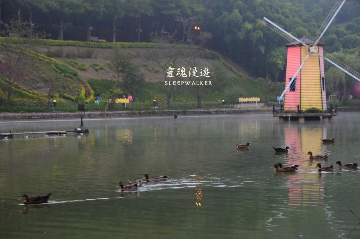 ［南投仁愛。景點］小瑞士花園－清境農場周邊順遊景點｜搭公車遊南投 Day1