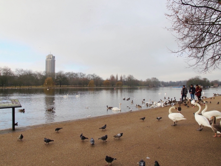 【London.走跳】英國倫敦海德公園散步與白金漢宮衛兵交接儀式