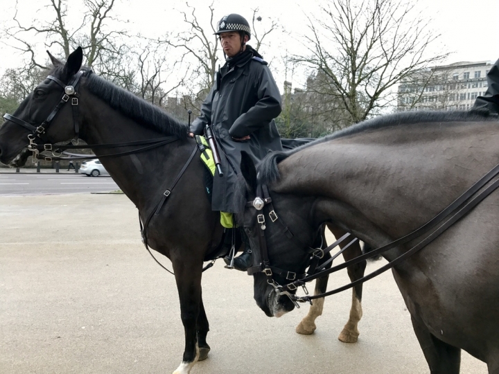 【London.走跳】英國倫敦海德公園散步與白金漢宮衛兵交接儀式