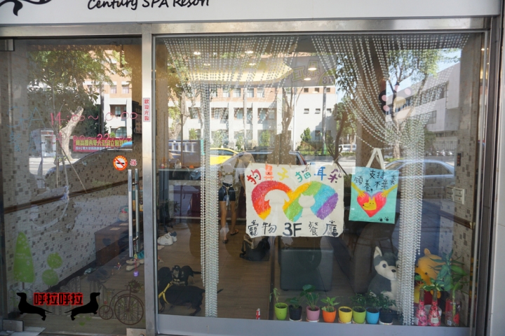 [高雄-苓雅-食記]狗鼻子貓耳朵．寵物餐廳-店狗店貓都很認真上班的溫馨寵物餐廳