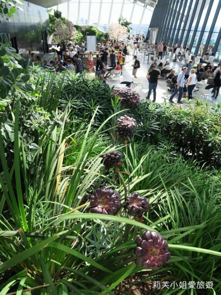 [旅遊] 英國 倫敦免費高空觀景台之Sky Garden 空中花園 (預約教學分享及參觀心得)