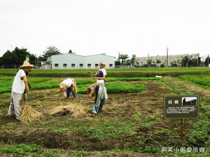 [旅遊] 2017 桃園花彩節萬坪花卉/玩偶公仔/免費小火車及旋轉木馬 (11/4~11/12)