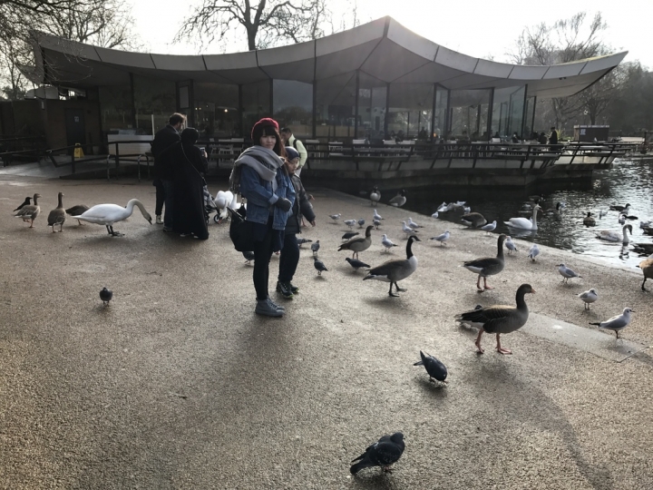 【London.走跳】英國倫敦海德公園散步與白金漢宮衛兵交接儀式