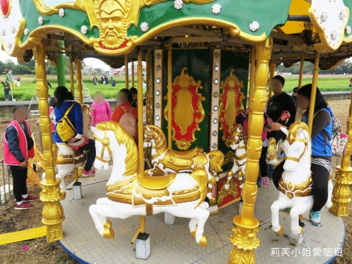 [旅遊] 2017 桃園花彩節萬坪花卉/玩偶公仔/免費小火車及旋轉木馬 (11/4~11/12)