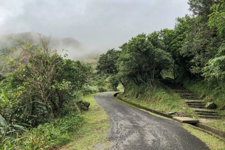 [亂拍照] 草嶺古道芒花季 (宜蘭大里-草嶺古道-埡口-桃源谷步道)