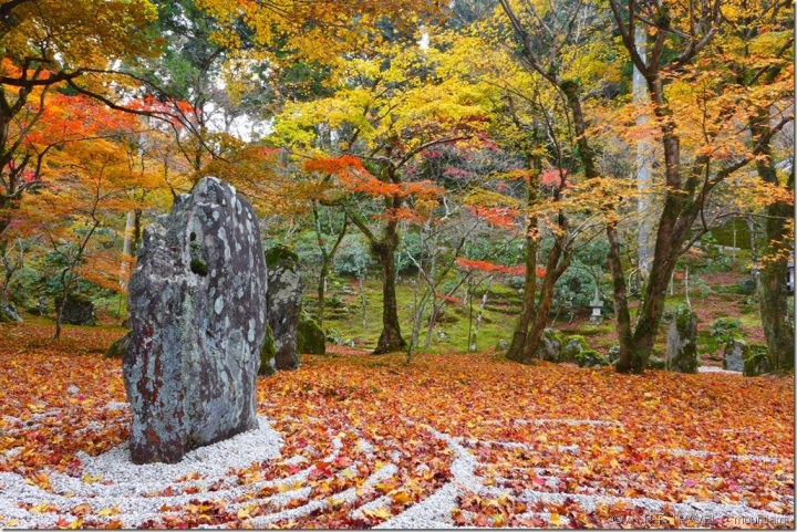 福岡【景點】漫遊太宰府天滿宮紅葉+光明禪寺+Starbucks+太宰府必吃 [福岡自由行景點]