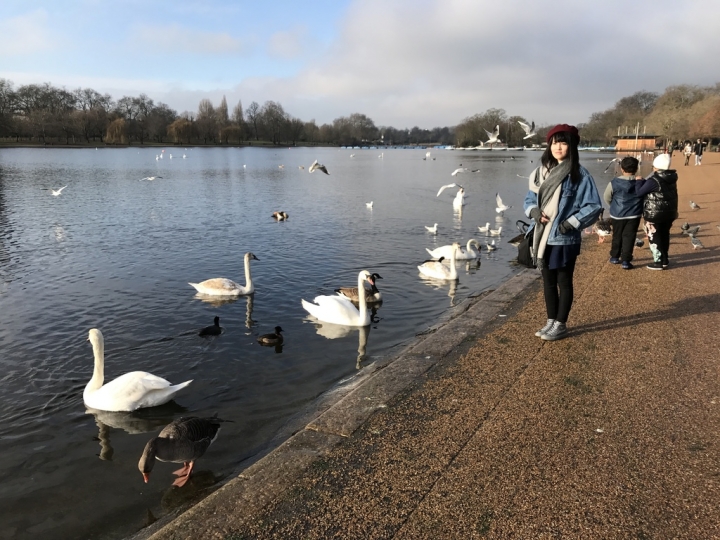 【London.走跳】英國倫敦海德公園散步與白金漢宮衛兵交接儀式