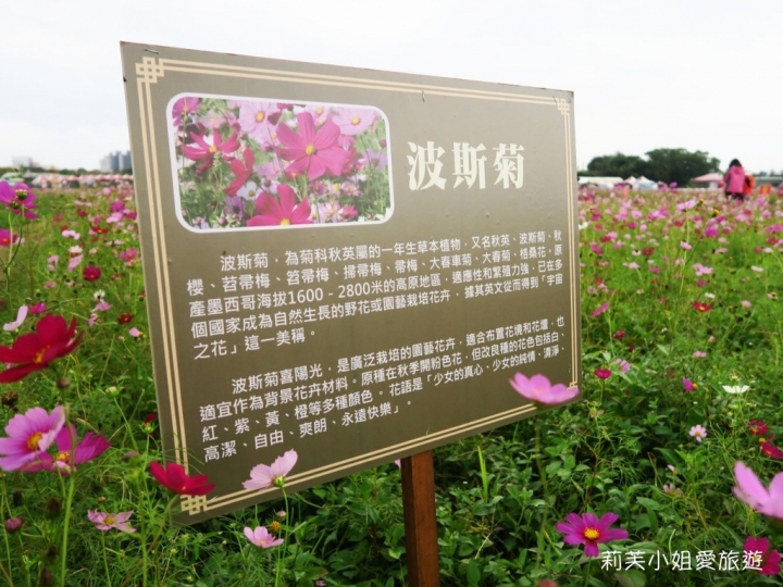 [旅遊] 2017 桃園花彩節萬坪花卉/玩偶公仔/免費小火車及旋轉木馬 (11/4~11/12)