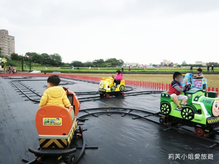 [旅遊] 2017 桃園花彩節萬坪花卉/玩偶公仔/免費小火車及旋轉木馬 (11/4~11/12)