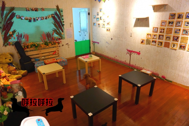 [高雄-苓雅-食記]狗鼻子貓耳朵．寵物餐廳-店狗店貓都很認真上班的溫馨寵物餐廳