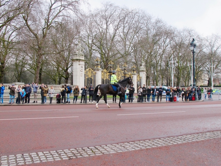 【London.走跳】英國倫敦海德公園散步與白金漢宮衛兵交接儀式