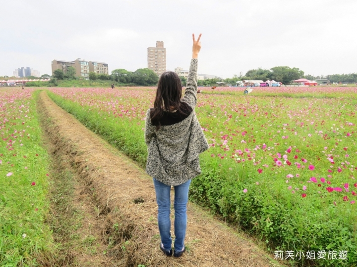[旅遊] 2017 桃園花彩節萬坪花卉/玩偶公仔/免費小火車及旋轉木馬 (11/4~11/12)