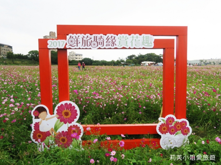 [旅遊] 2017 桃園花彩節萬坪花卉/玩偶公仔/免費小火車及旋轉木馬 (11/4~11/12)