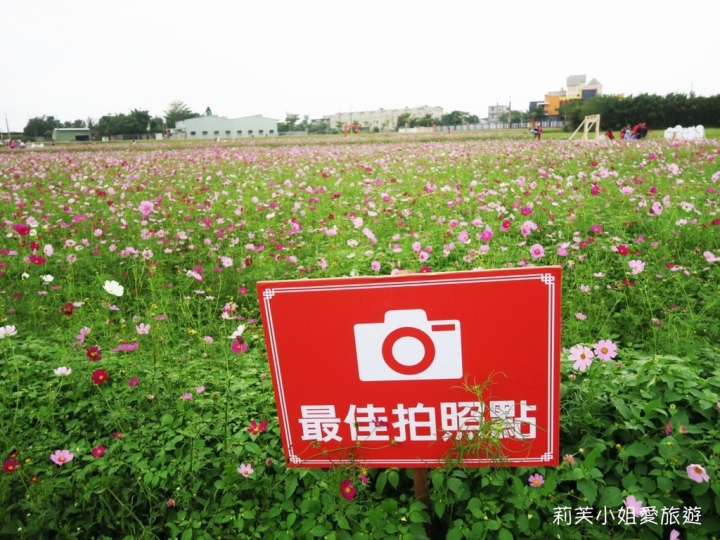 [旅遊] 2017 桃園花彩節萬坪花卉/玩偶公仔/免費小火車及旋轉木馬 (11/4~11/12)