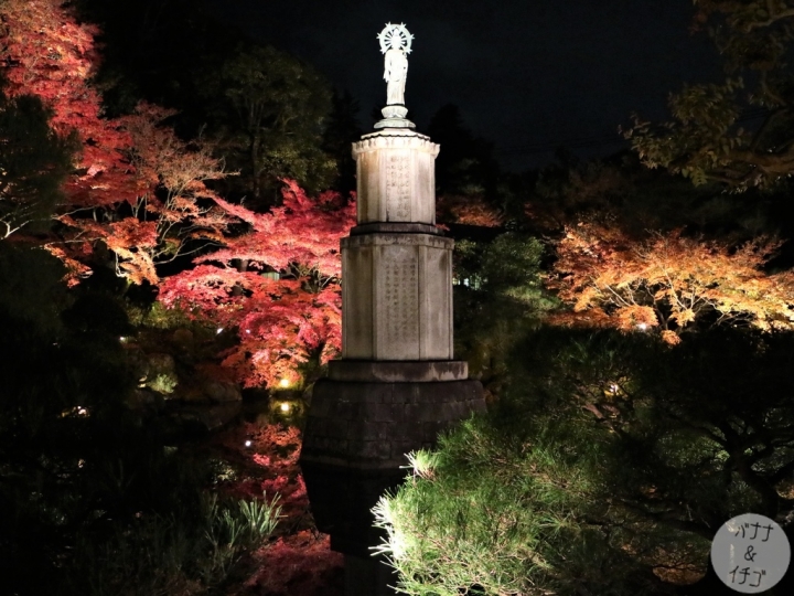 「京都の紅葉」--2017 京都賞楓整理