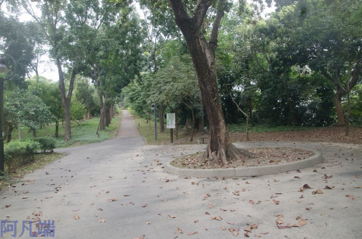 高雄~旗山區鼓山公園風華再現+旗山老街小小兵大進擊