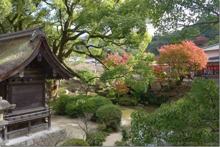 福岡【景點】漫遊太宰府天滿宮紅葉+光明禪寺+Starbucks+太宰府必吃 [福岡自由行景點]