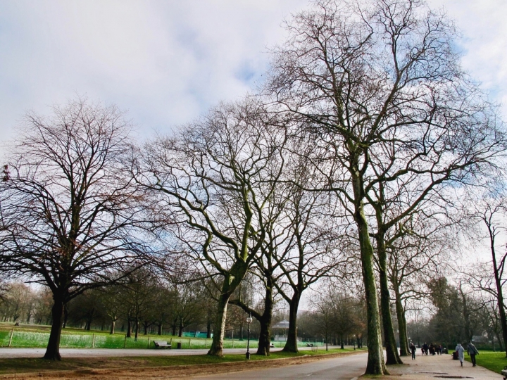 【London.走跳】英國倫敦海德公園散步與白金漢宮衛兵交接儀式