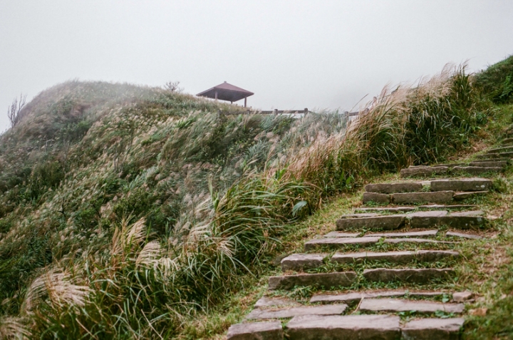 [亂拍照] 草嶺古道芒花季 (宜蘭大里-草嶺古道-埡口-桃源谷步道)