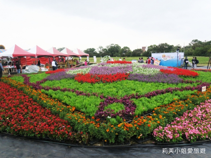 [旅遊] 2017 桃園花彩節萬坪花卉/玩偶公仔/免費小火車及旋轉木馬 (11/4~11/12)