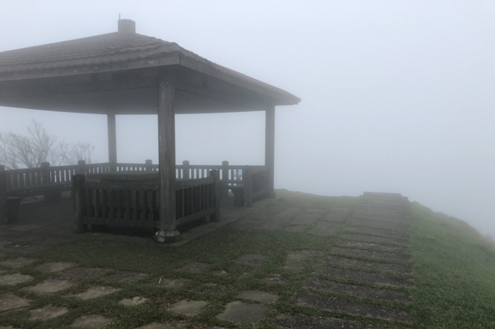 [亂拍照] 草嶺古道芒花季 (宜蘭大里-草嶺古道-埡口-桃源谷步道)