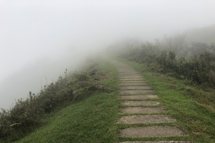 [亂拍照] 草嶺古道芒花季 (宜蘭大里-草嶺古道-埡口-桃源谷步道)