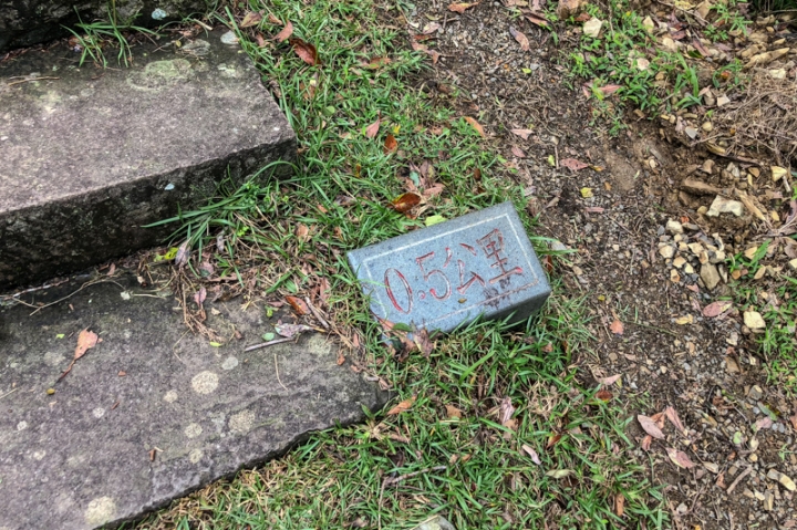[亂拍照] 草嶺古道芒花季 (宜蘭大里-草嶺古道-埡口-桃源谷步道)