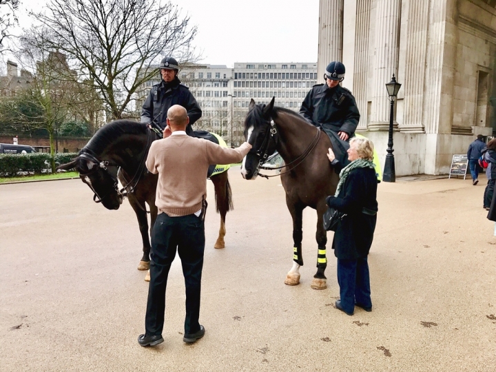 【London.走跳】英國倫敦海德公園散步與白金漢宮衛兵交接儀式