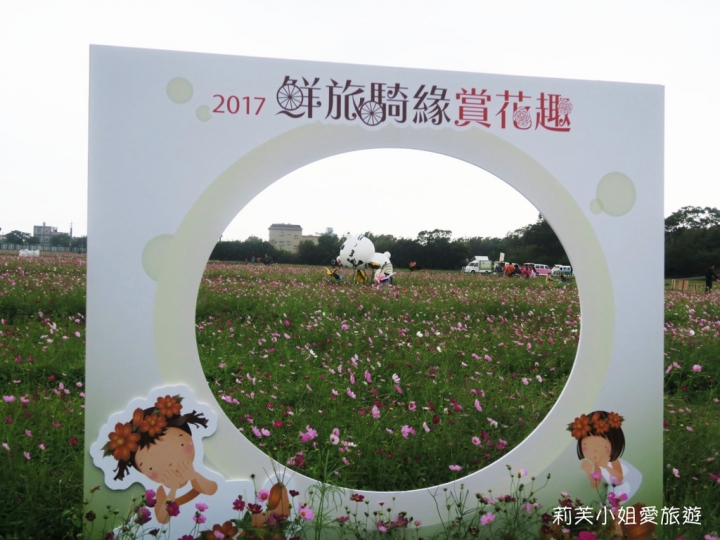 [旅遊] 2017 桃園花彩節萬坪花卉/玩偶公仔/免費小火車及旋轉木馬 (11/4~11/12)
