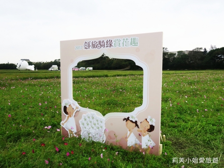 [旅遊] 2017 桃園花彩節萬坪花卉/玩偶公仔/免費小火車及旋轉木馬 (11/4~11/12)
