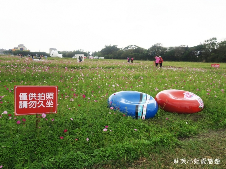 [旅遊] 2017 桃園花彩節萬坪花卉/玩偶公仔/免費小火車及旋轉木馬 (11/4~11/12)