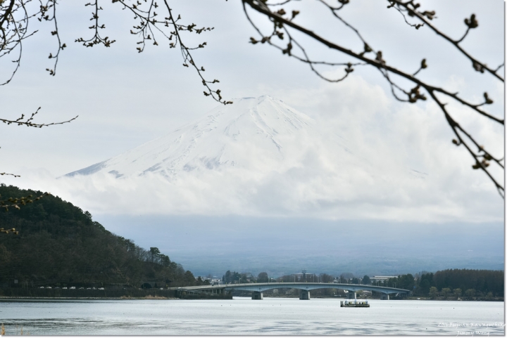 [日本富士山環山之旅]-山梨-河口湖北岸-欣賞富士山景點總整理